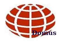 Domus Consulting Group Logo